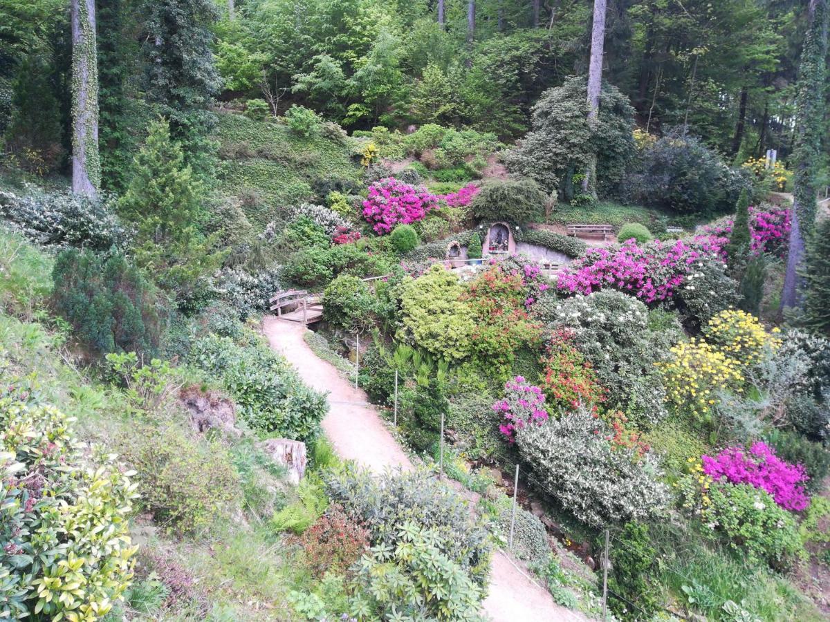 卡萨梅公寓 黑林山区奥滕赫芬 外观 照片